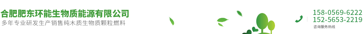 合肥肥東環(huán)能生物質(zhì)能源有限公司